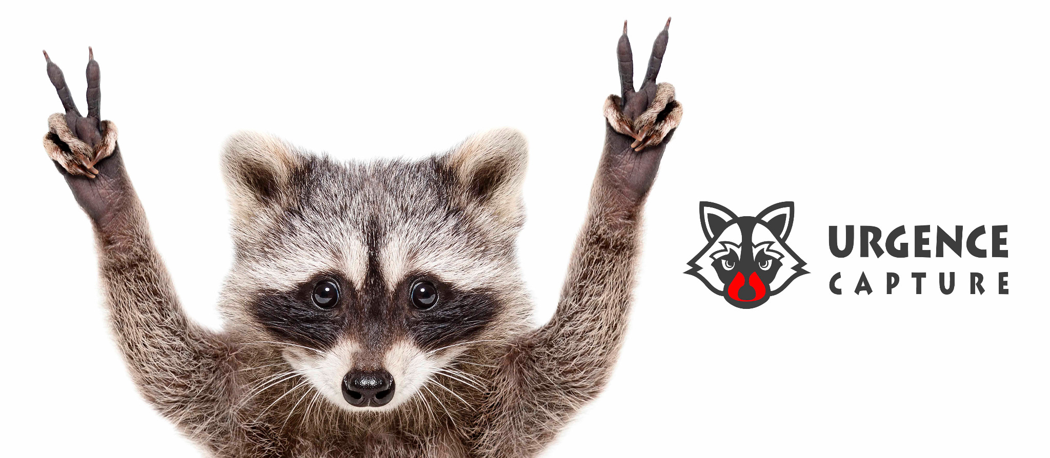 Urgence Capture - capture d’animaux sauvages